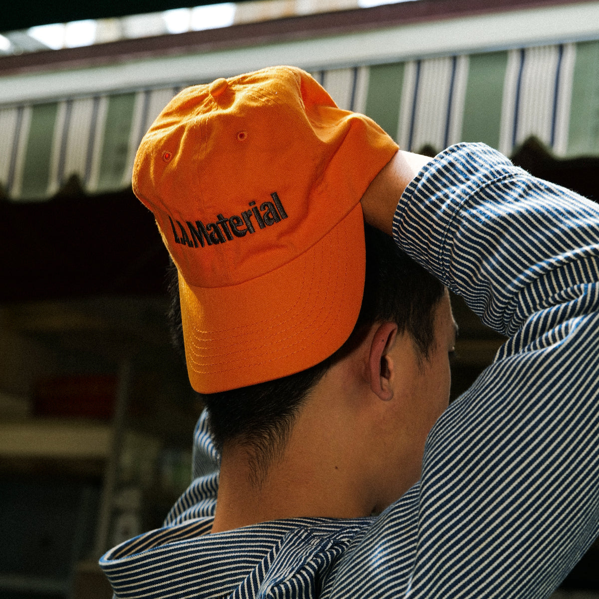 Logo Dad Hat